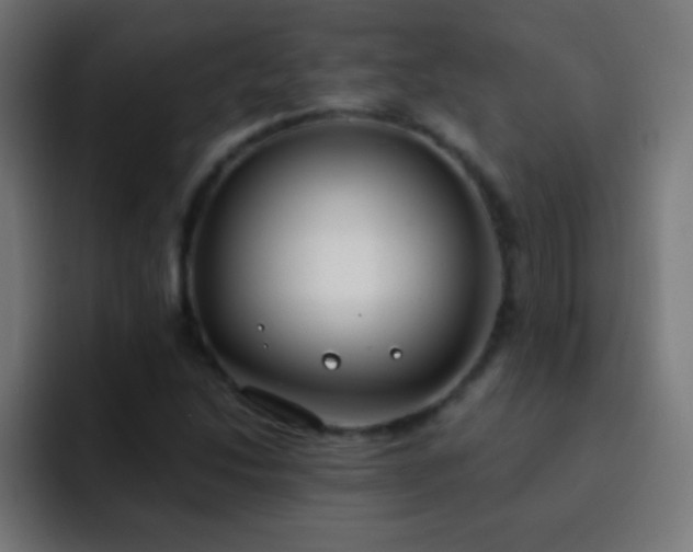 X0000093091214200710031806