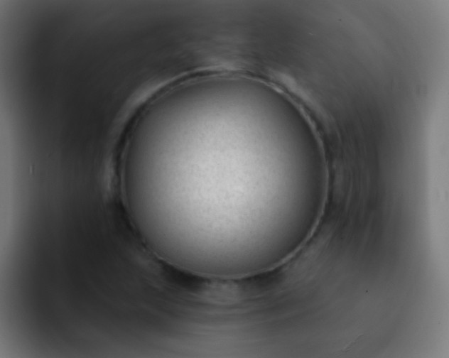 X0000093091215200710031806