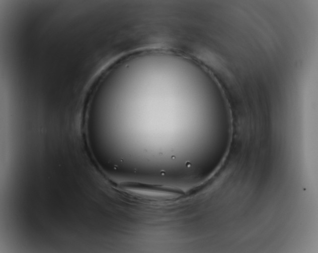 X0000093091216200710031806