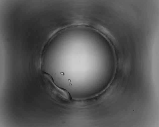 X0000093091220200710031806