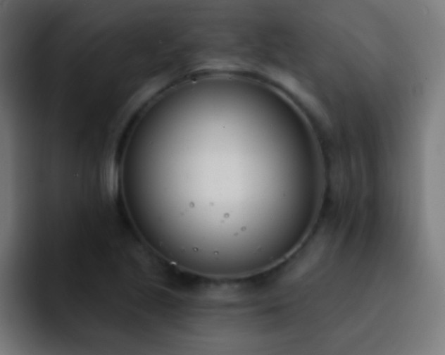 X0000093091221200710031806