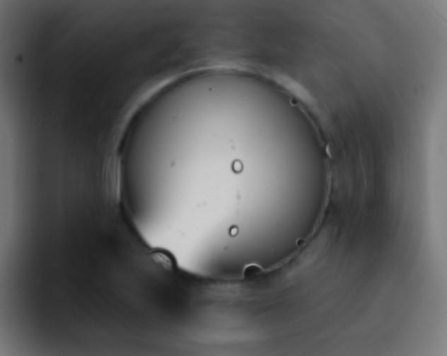 X0000093091223200710031806