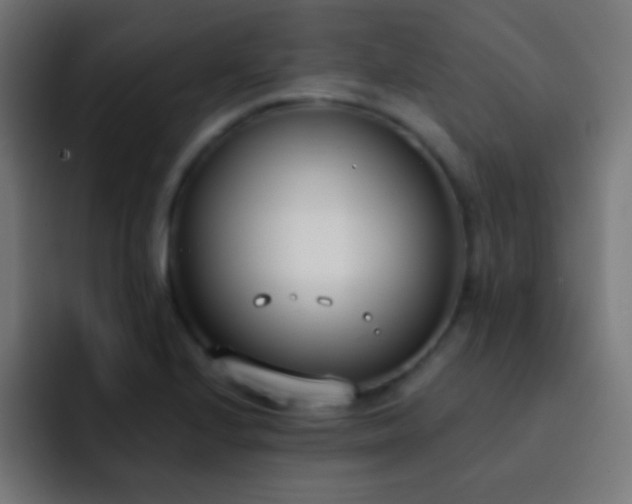 X0000093091224200710031806