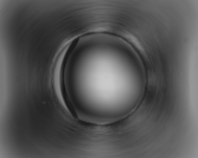 X0000093091226200710031806