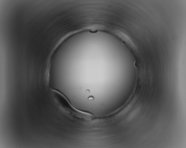 X0000093091228200710031806