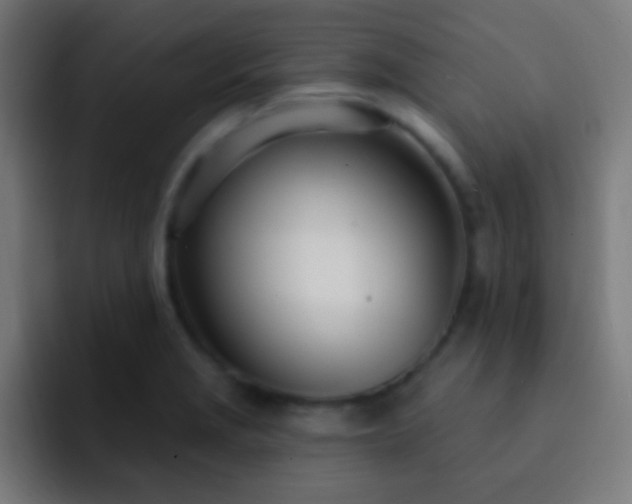 X0000093091229200710031806