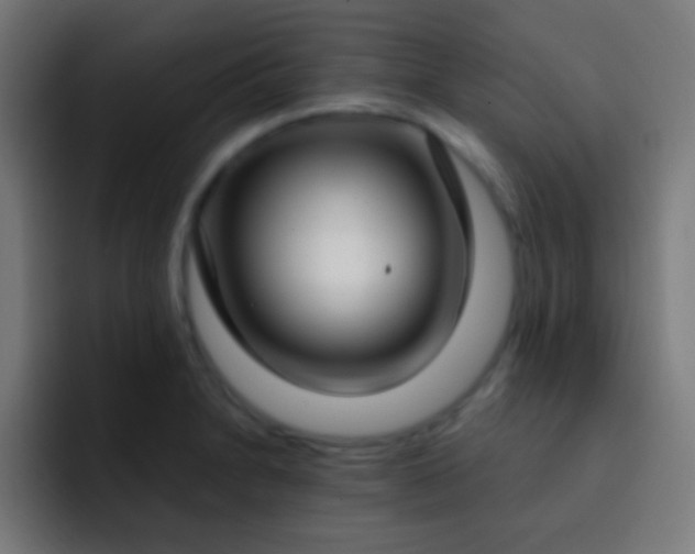 X0000093091230200710031806