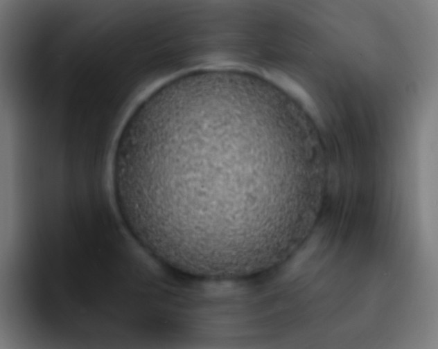 X0000093091231200710031806