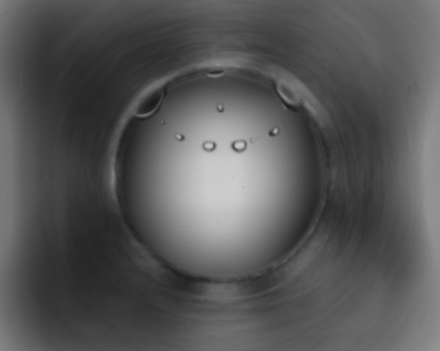 X0000093091232200710031806