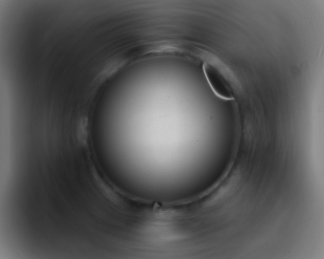 X0000093091233200710031806