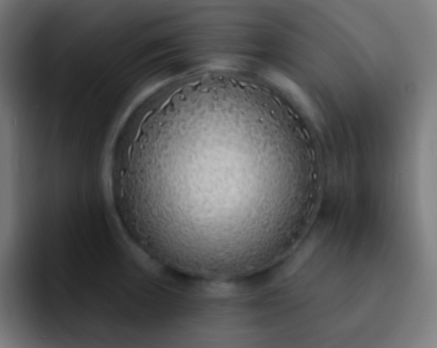 X0000093091235200710031806