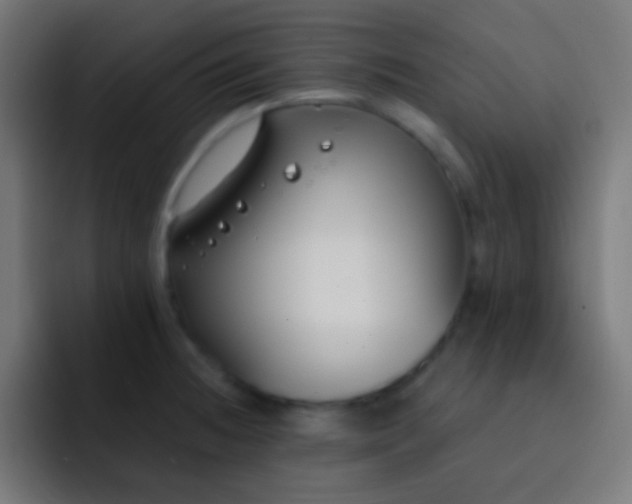 X0000093091236200710031806