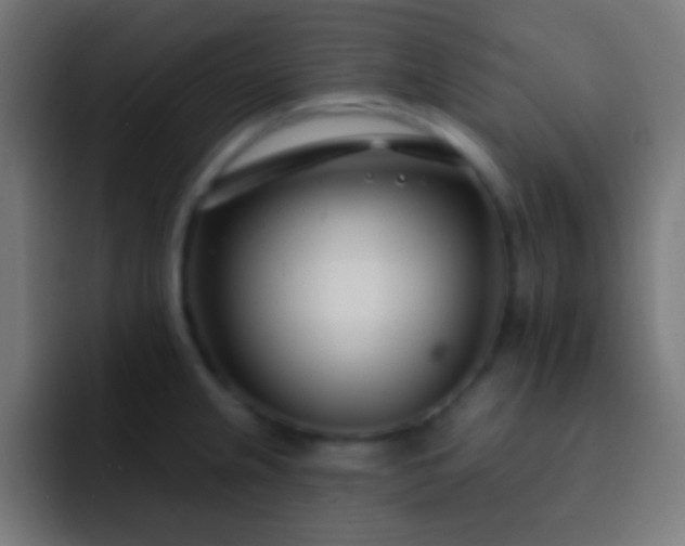 X0000093091237200710031806