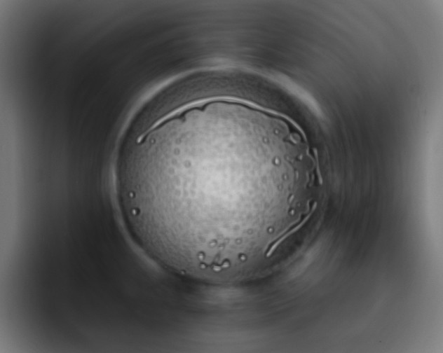 X0000093091239200710031806