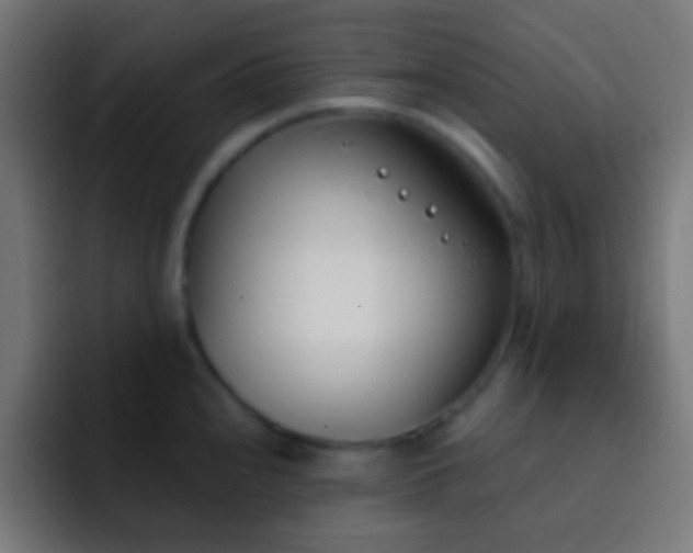 X0000093091240200710031806