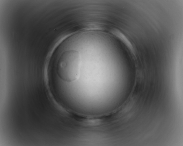 X0000093091243200710031806