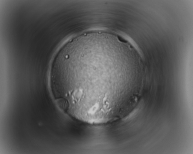 X0000093091245200710031806