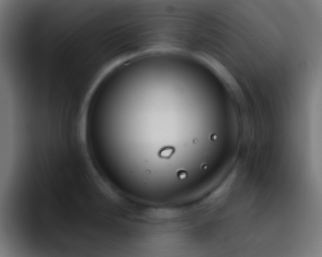 X0000093091246200710031806