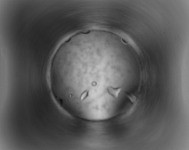 X0000093091247200710031806