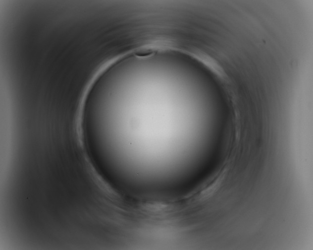 X0000093091248200710031806