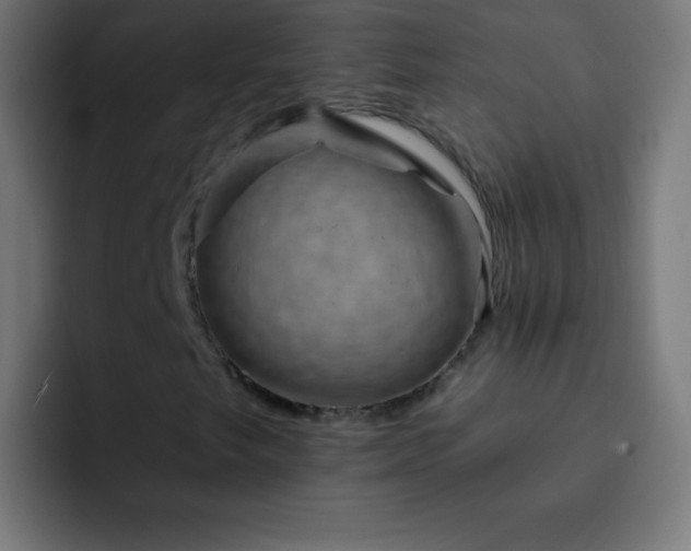 X0000093091249200710031806