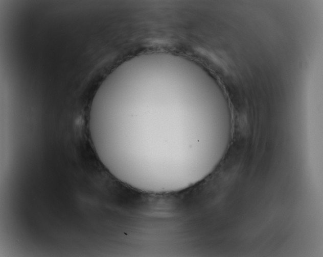 X0000093091254200710031805