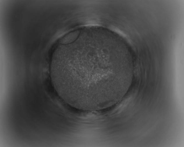 X0000093091255200710031805