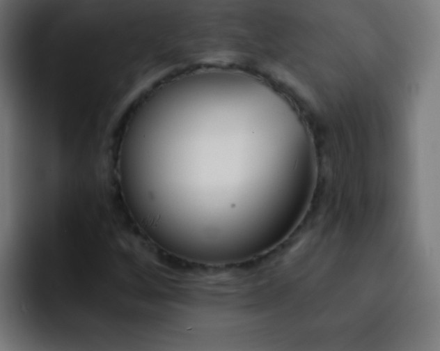 X0000093091256200710031805