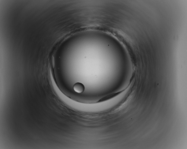 X0000093091257200710031805