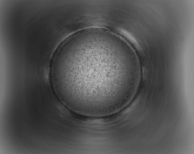 X0000093091260200710031805