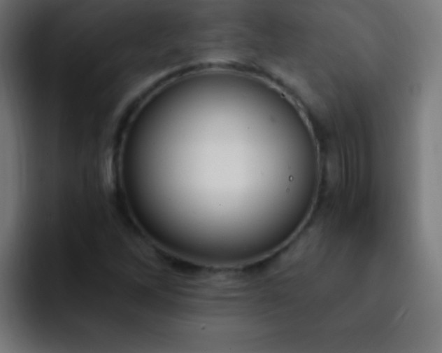 X0000093091262200710031805