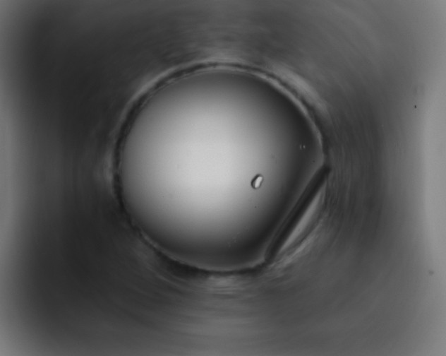 X0000093091264200710031805