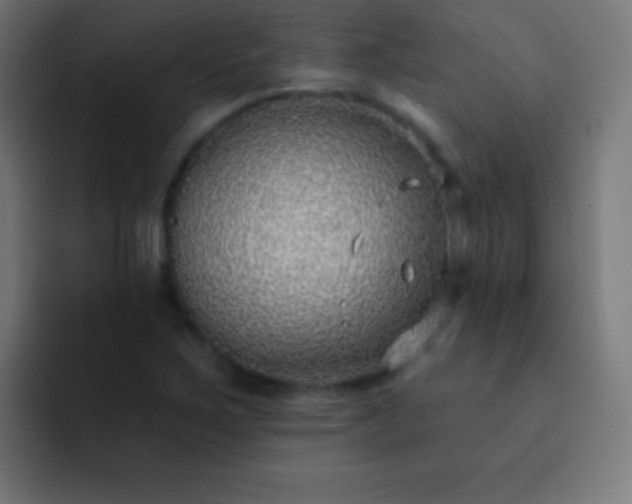 X0000093091267200710031805