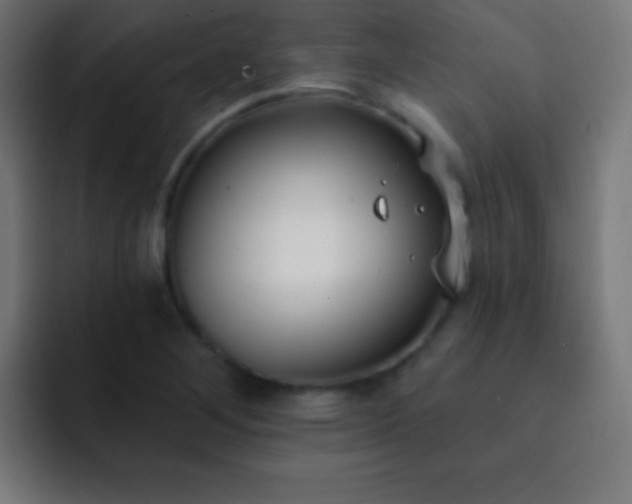 X0000093091268200710031805