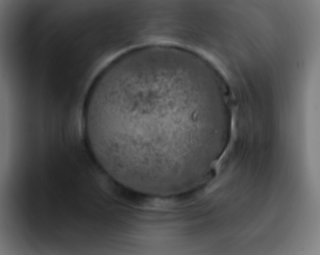 X0000093091271200710031805