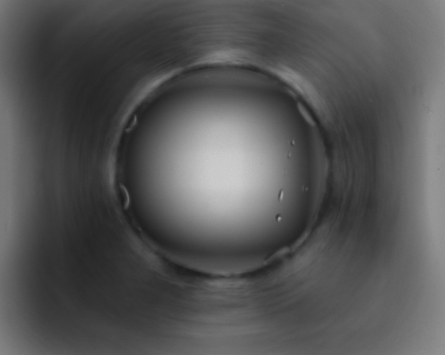 X0000093091277200710031805