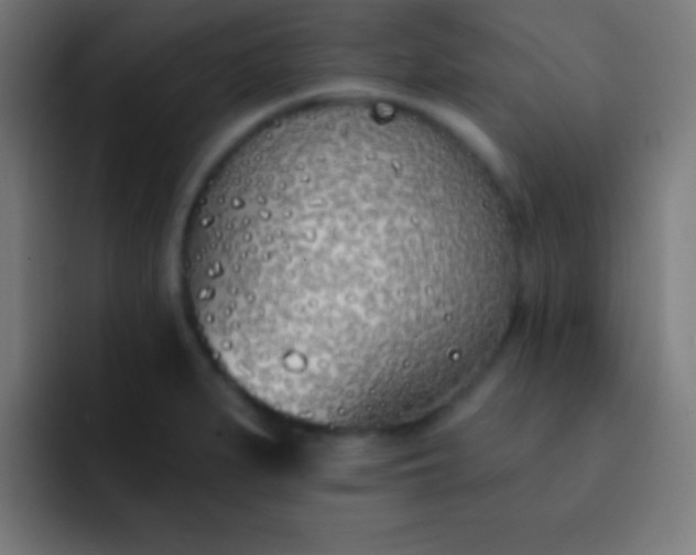 X0000093091279200710031805