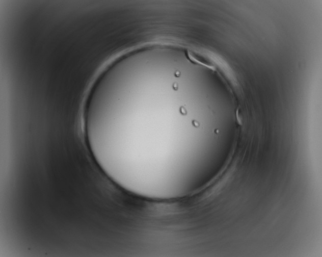 X0000093091280200710031805