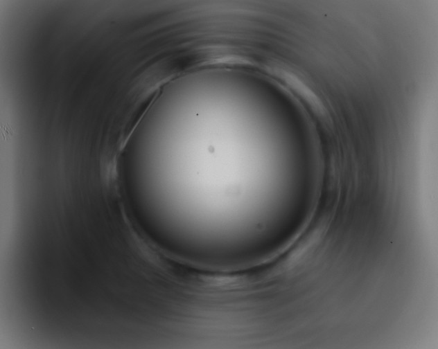 X0000093091281200710031805