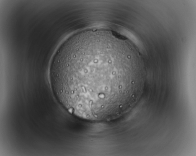 X0000093091283200710031805