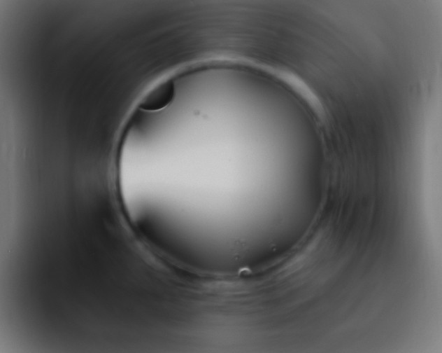 X0000093091287200710031805