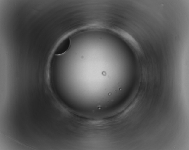 X0000093091288200710031805