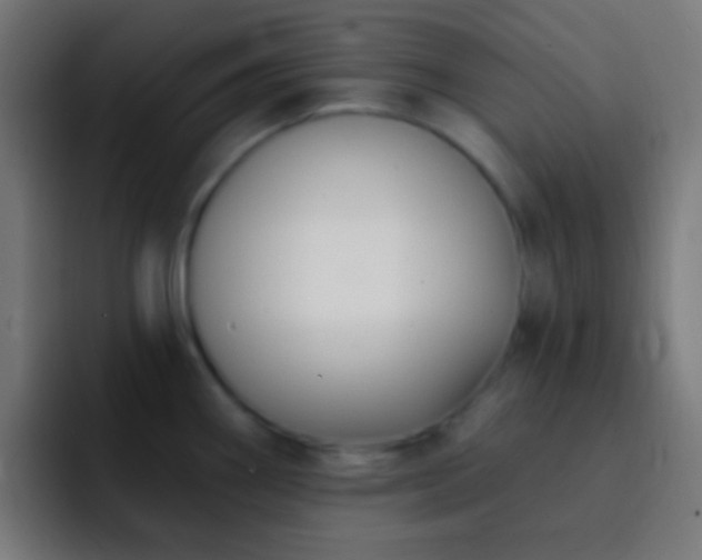 X0000093091290200710031805