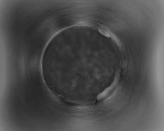 X0000093091291200710031805