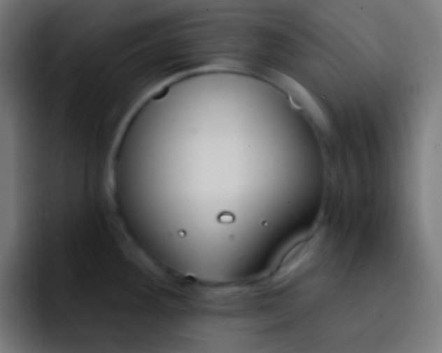 X0000093091292200710031805