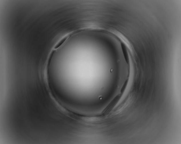 X0000093091293200710031805