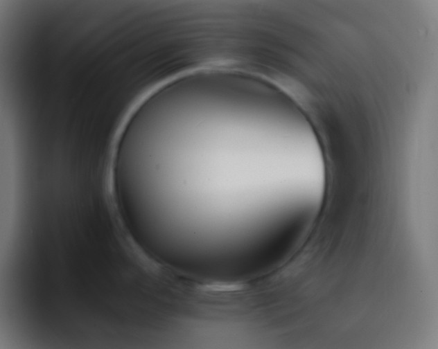 X0000093091296200710031805