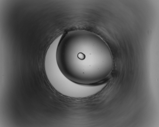 X0000093091298200710031804