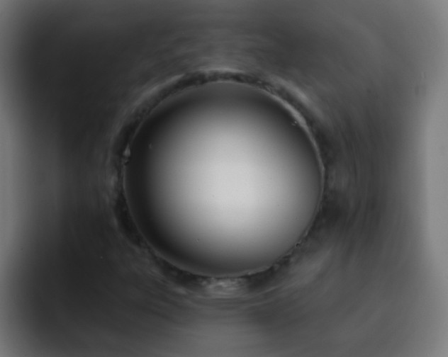 X0000093091303200710031805