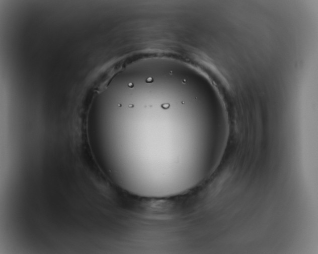 X0000093091304200710031805